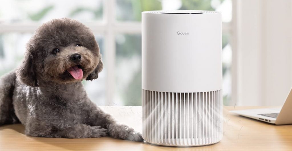 Best Smart Wifi Air Purifiers 2024 Americanaldes